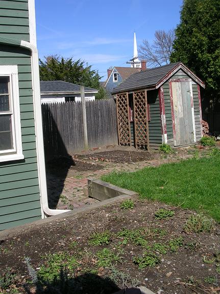 Perennial bed and garden today