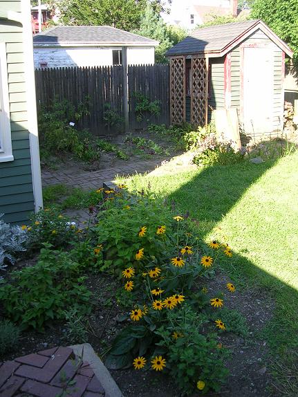 Perennial bed and garden last August