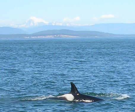 J-5 and Mt. Baker