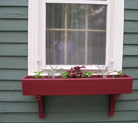 windowbox